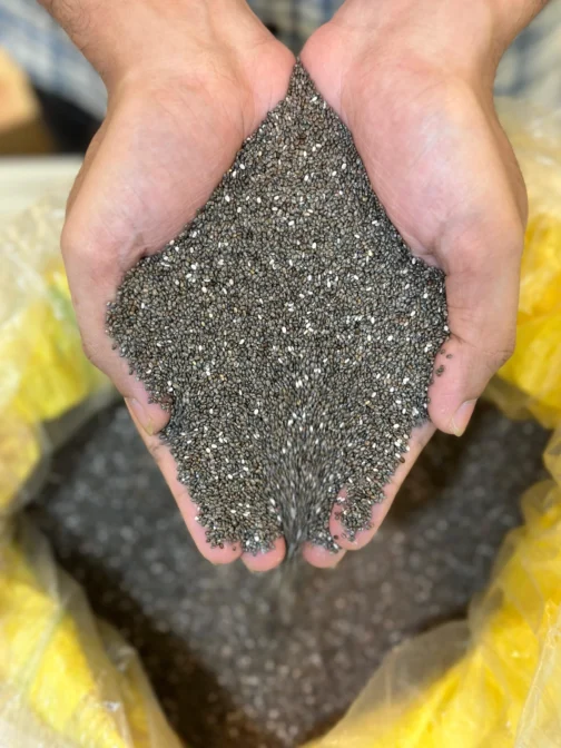 Fresh Chia Seed 500gm - ফ্রেশ চিয়া সিড ৫০০ গ্রাম - Image 2